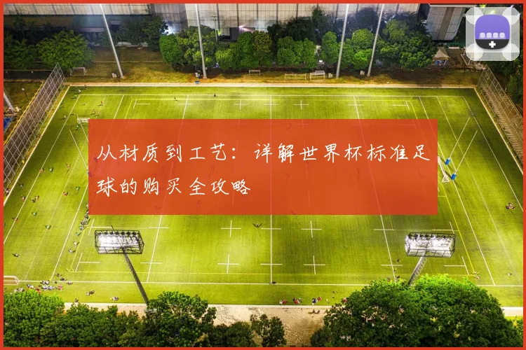 从材质到工艺：详解世界杯标准足球的购买全攻略